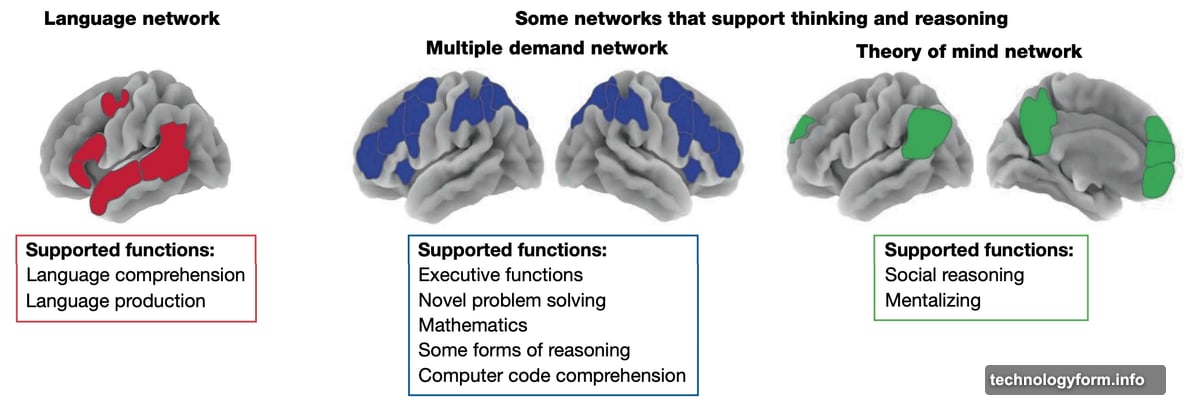 Brain imaging shows different neural networks for language versus reasoning